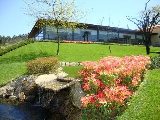 Quinta 4