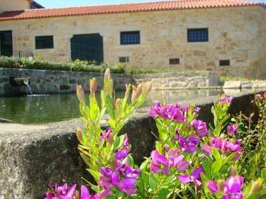 Quinta 3