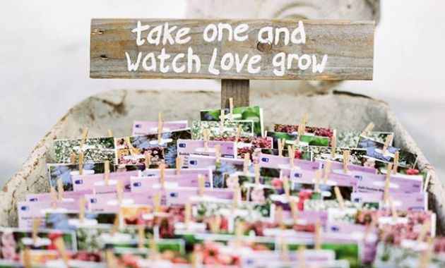 Lembrança Amor Perfeito