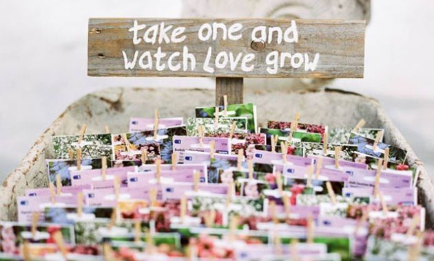 Lembrança Amor Perfeito