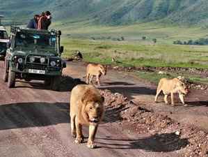 Lua de mel setembro 2019 - 1