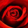 Raquel