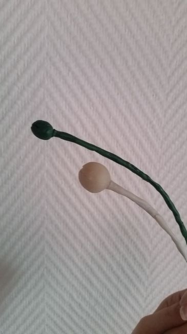 Boutão de orquídea 