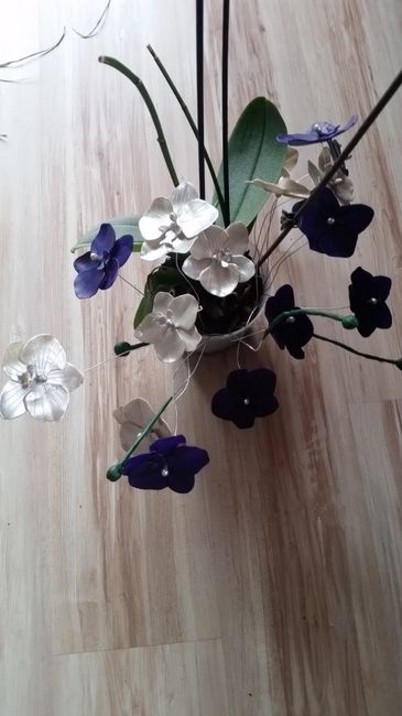 Orquidea 2 cores- 2