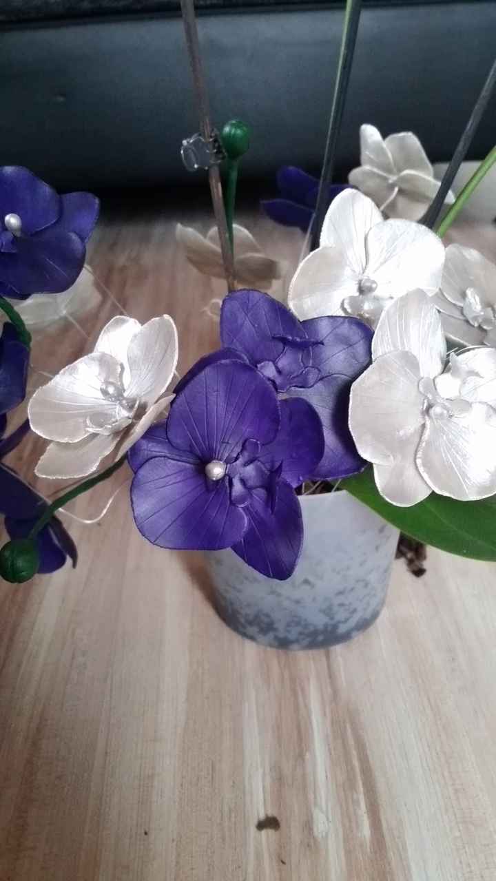 Orquídeas 2 cores