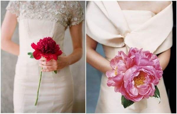 Ramo ou uma so flor? - 2