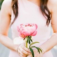 Ramo ou uma so flor? - 3