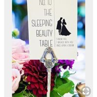 Tema contos-de-fadas/disney - 3