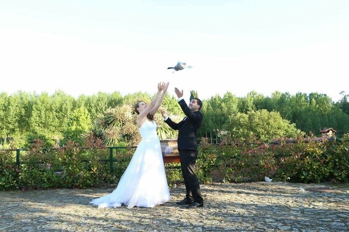 O nosso dia (algumas fotos) - 19