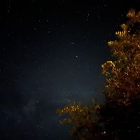 O pedido debaixo do céu mais estrelado de sempre 