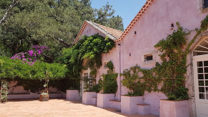 Patio rosa