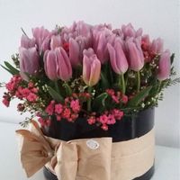 Mostrem-me as vossas prendas de São Valentim! - 2