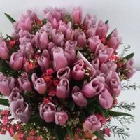 Mostrem-me as vossas prendas de São Valentim! - 3