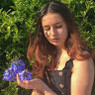 Catarina