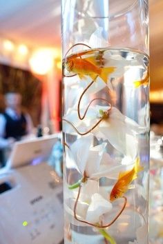 peixes na decoração