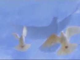 pombas