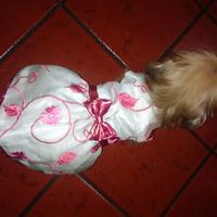 Roupinha dos meus bebés de 4 patas! - 6
