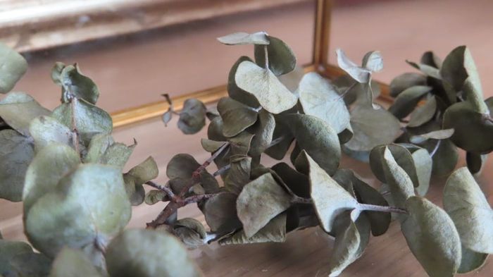 As 2 coisas que não devia ter feito com o meu bouquet! 10