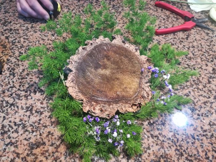 Em experiências com os floristas 💐💮🏵️🌼🌷🌺 - 2