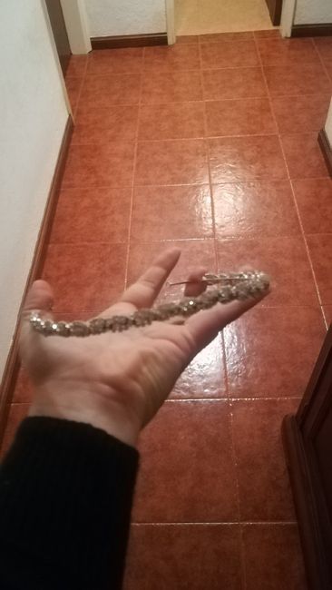 Ups apaixonei-me outra vez - Episódio acessório de cabelo 😏 - 2