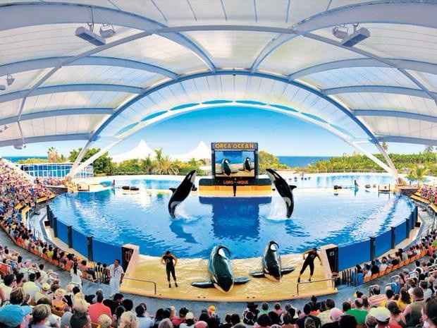 Loro Parque