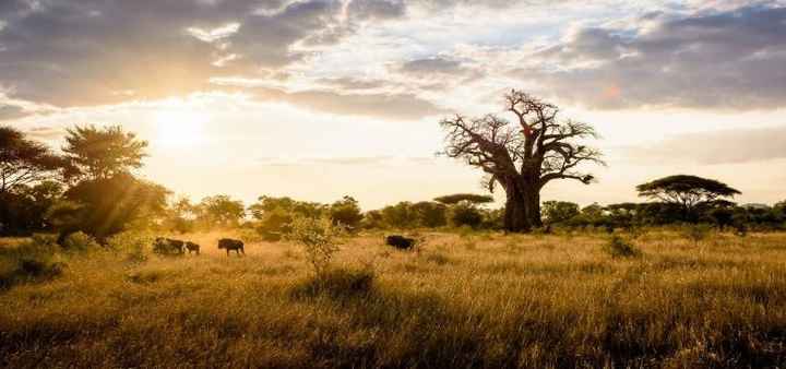 PAMUSHANA, ZIMBABWE