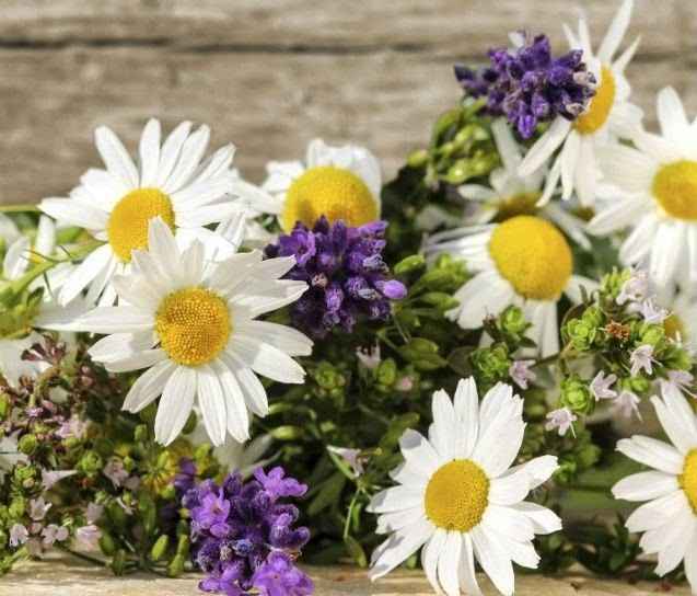 💐 Bouquet de noiva ideal para cada signo 💐 - 1
