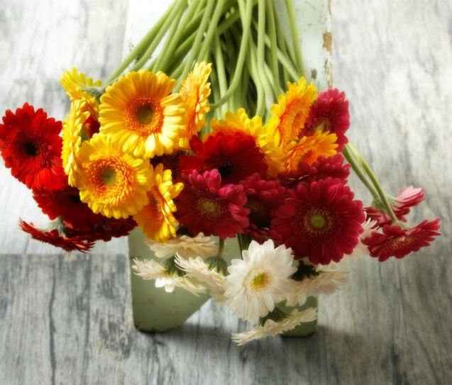 💐 Bouquet de noiva ideal para cada signo 💐 - 4