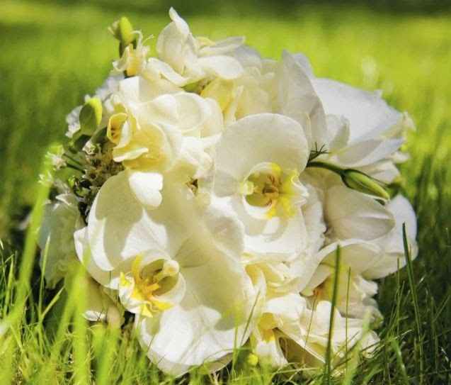 💐 Bouquet de noiva ideal para cada signo 💐 - 8