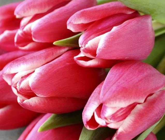 💐 Bouquet de noiva ideal para cada signo 💐 - 12