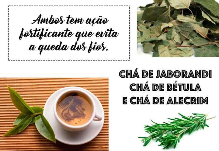 5. CHÁS PARA QUEDA DE CABELO