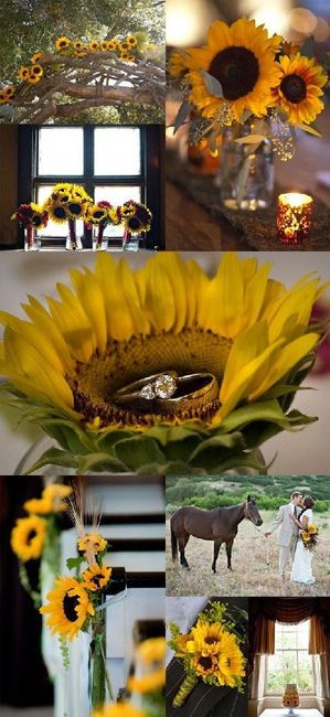 Mês de Julho - Mês Amarelo, Inspirações várias - 13