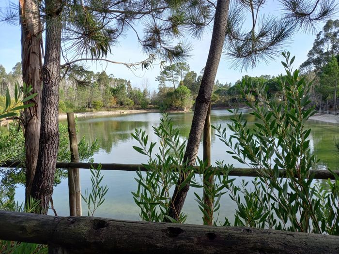 Já visitarm a quinta da Mafalda? 1