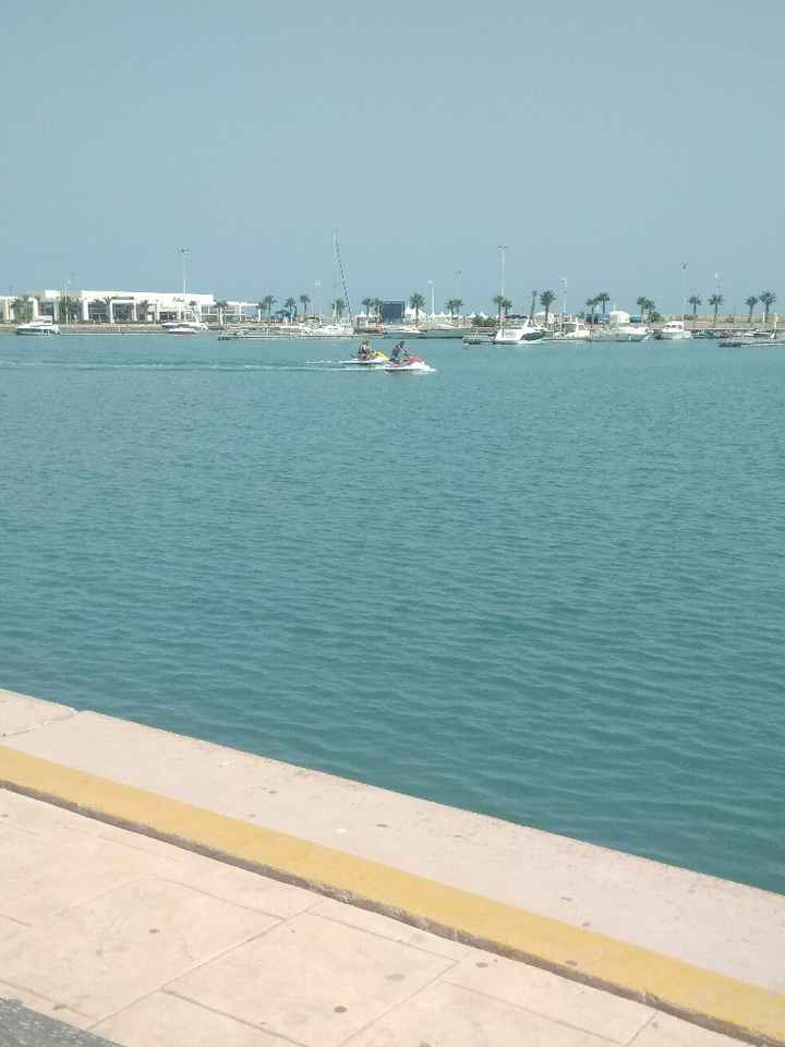 Saidiamarrocos - 5
