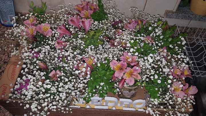 Flores para a quinta - 1