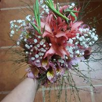 Flores para a quinta - 3