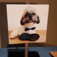 Os nossos convites aos padrinhos - 4