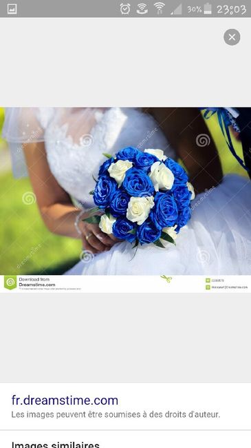 Flores azuis para bouquet - 1