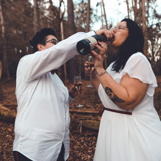 Bodas de Papel - 8