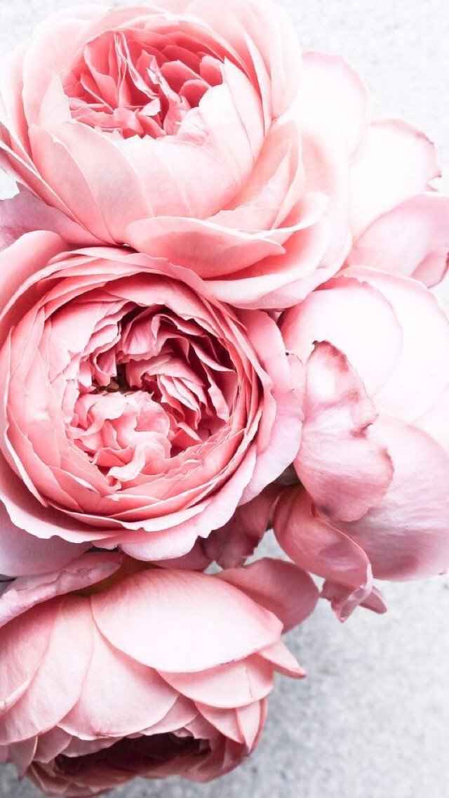 O estilo que eu vou usar ;)