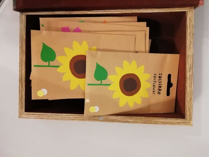 Checks (atrasados) :) 12