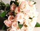 Rosas cor de rosa