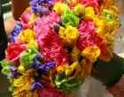 Explosão de cores