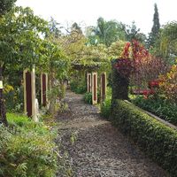 Quinta jardins do lago - 1