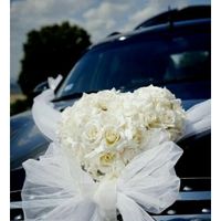 Wedding Car Ajuda !!!! - 1
