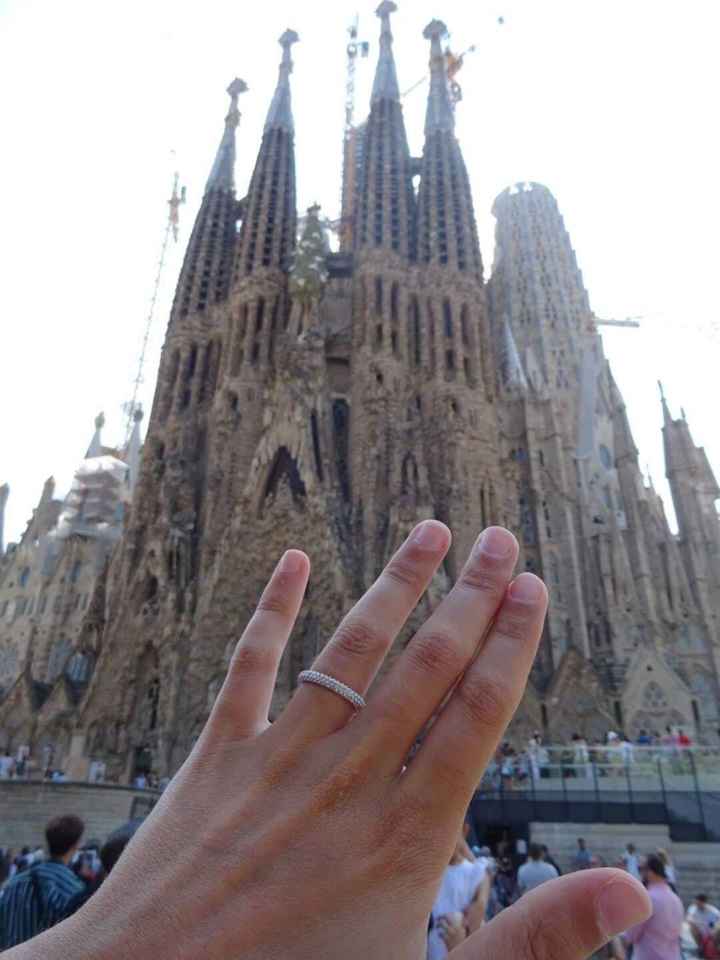 Pedido de casamento - 1