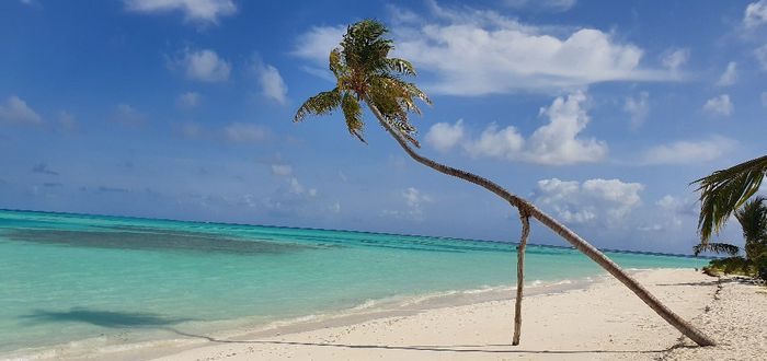 Lua de Mel Maldivas - Recomendações - 6