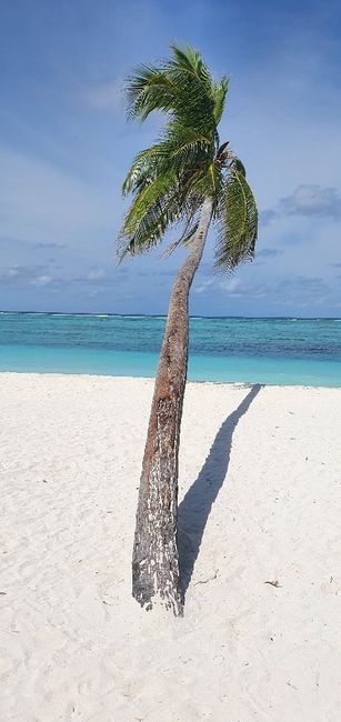 Maldivas em Julho? 5