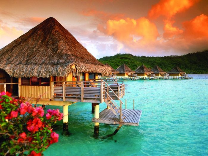 Opção 4 - Tahiti 