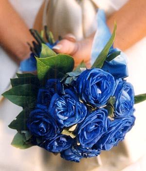 Ramo 💐 - 1